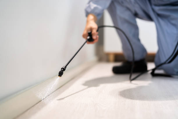 Licensed Termite Control service in Belleville, MI - Nex Pest Control