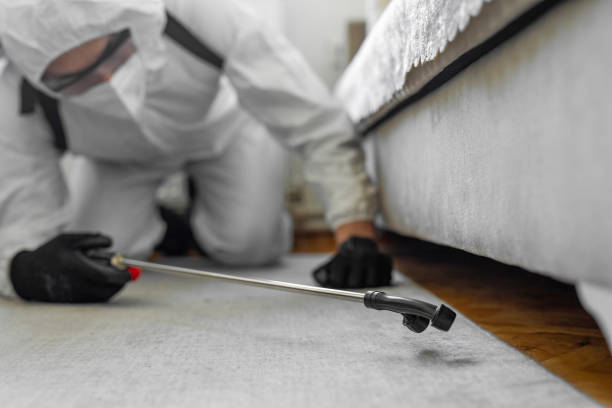Professional Termite Control technician working in Belleville, MI