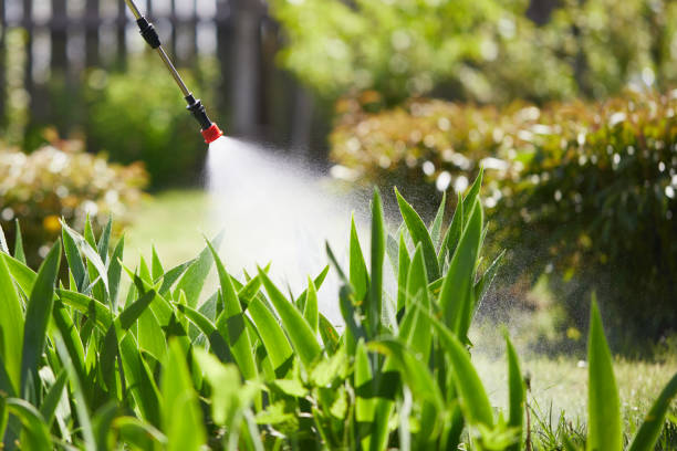 24/7 Emergency Termite Control experts in Belleville, MI