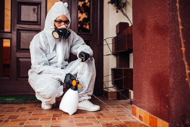 Reliable Termite Control contractor in Belleville, MI by Nex Pest Control