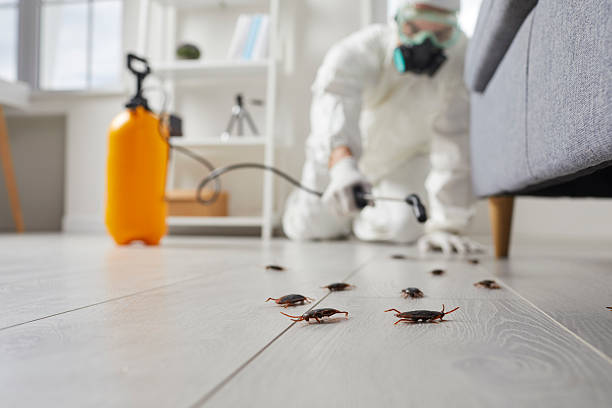 Affordable Termite Control solutions in Belleville, MI
