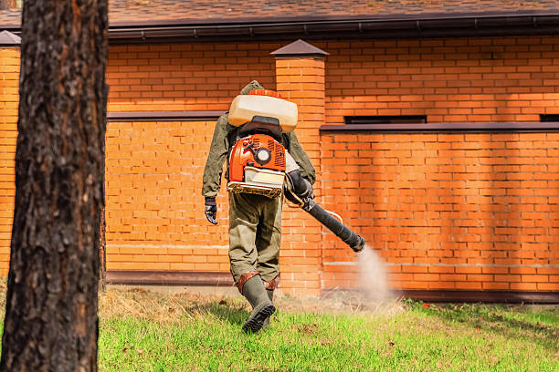 Top rated local Termite Control specialists in Belleville, MI